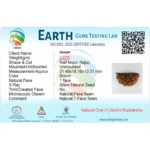 1 Mukhi Rudraksha – Benefits, Power & Prosperity - Image 4