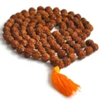 Buy 5 Mukhi Rudraksha Mala 108+1 Beads – Natural & Certified