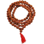 Buy 5 Mukhi Rudraksha Mala 108+1 Beads – Natural & Certified - Image 2