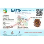 Buy 5 Mukhi Rudraksha Mala 108+1 Beads – Natural & Certified - Image 3