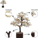 Buy Gomti Chakra Tree for Good Luck & Prosperity – 100 Beads - Image 2