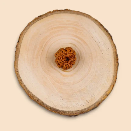 Online product page of 5 Mukhi Rudraksha on Vastu Shashtra store with price, description, and customer reviews section